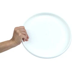 Plastic Ultimate Disc - Surf Illustration -Outdoor Camping Store k6abadd68bd21e02f4eeb8232e0eaab0c